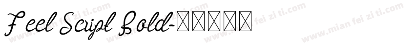 Feel Script Bold字体转换